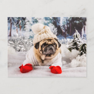 Christmas Pug Wearing Gloves and Hat Postcard