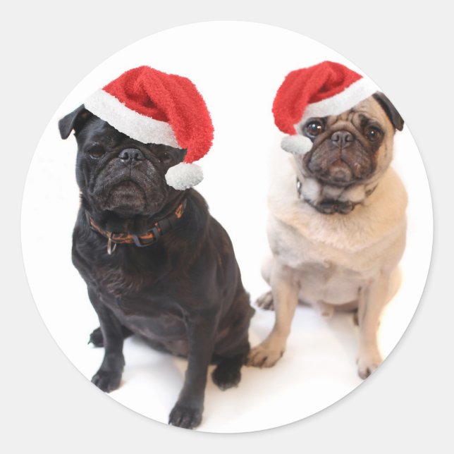 christmas pugs classic round sticker (Front)
