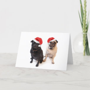 christmas pugs holiday card
