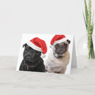 christmas pugs holiday card