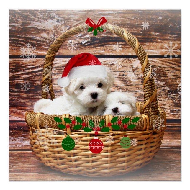 Christmas Puppies, adorable, Poster (Front)