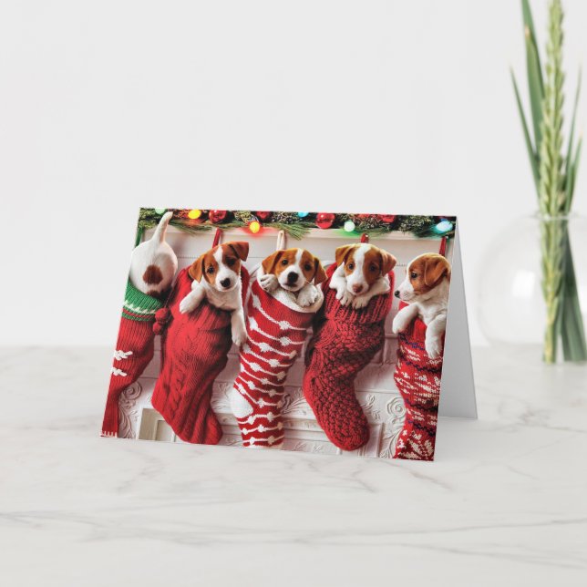 Christmas puppies in stockings holiday card (Front)