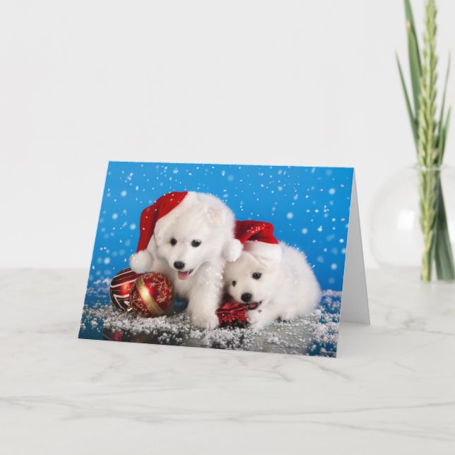 Christmas Puppies White Pomeranian Spitz Holiday Card (Front)