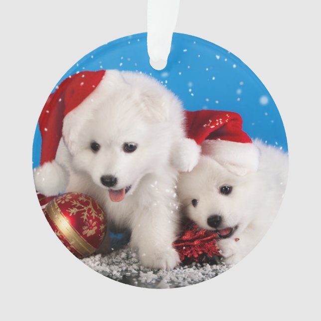 Christmas Puppies White Pomeranian Spitz Ornament (Front)