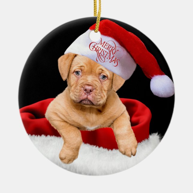 Christmas Puppy Ceramic Tree Decoration (Front)