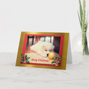 Christmas Puppy, Chistmas Card