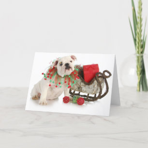 Christmas Puppy - English Bulldog Puppy Sitting Holiday Card