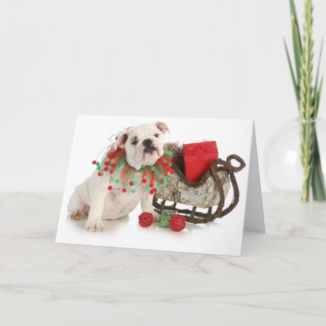 Christmas Puppy - English Bulldog Puppy Sitting Holiday Card (Front)