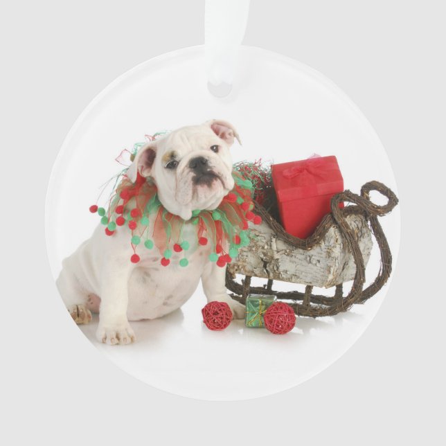 Christmas Puppy - English Bulldog Puppy Sitting Ornament (Front)