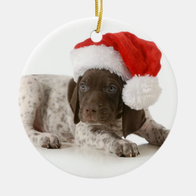 Christmas Puppy - German Shorthaired Pointer Ceramic Tree Decoration (Front)