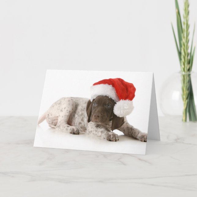 Christmas Puppy - German Shorthaired Pointer Holiday Card (Front)