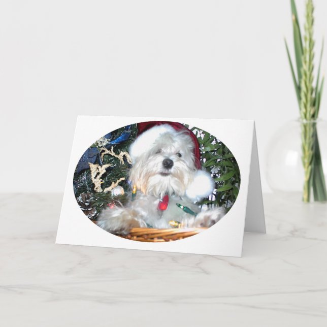 christmas puppy holiday card (Front)