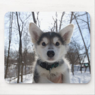 Christmas Puppy Mouse Mat