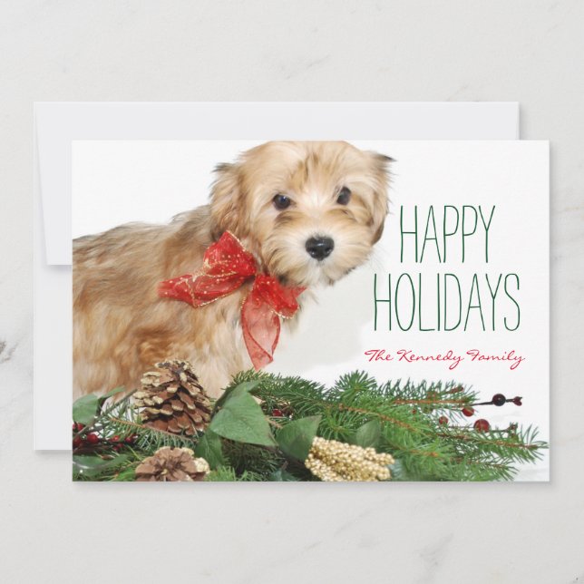 Christmas puppy with red bow holiday card (Front)