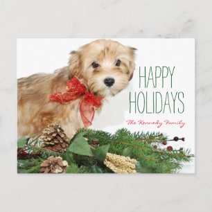 Christmas puppy with red bow holiday postcard
