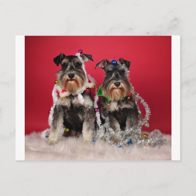 Christmas Pups Holiday Postcard (Front)