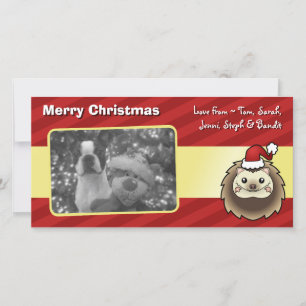 Christmas Pygmy Hedgehog Holiday Card