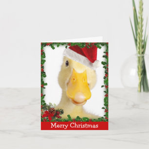 Christmas Quack Holiday Card