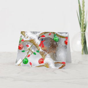 Christmas Quail  Holiday Card