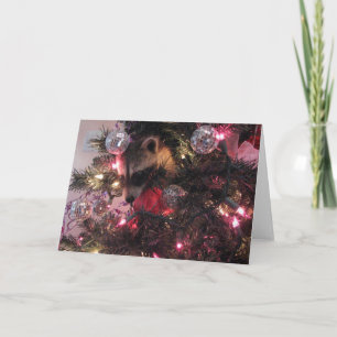 Christmas Racoon Holiday Card