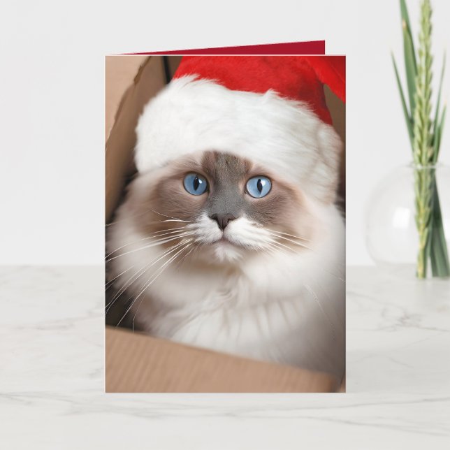 Christmas Ragdoll Cat in Cardboard Box Card (Front)