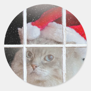 Christmas Ragdoll Cat in window Classic Round Sticker
