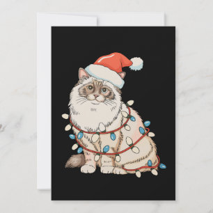 Christmas Ragdoll Cute Cat Santa Hat Xmas Lights Holiday Card