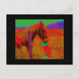 Christmas Rainbow Horse Holiday Postcard