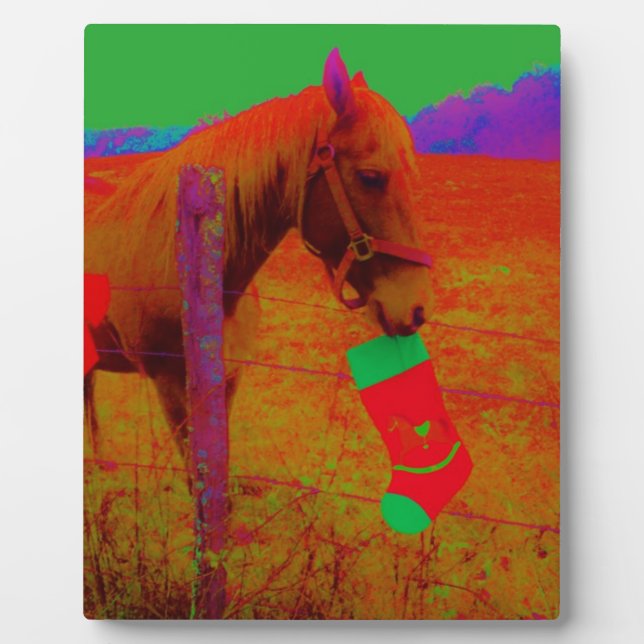 Christmas Rainbow Horse Plaque (Front)