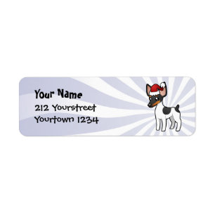 Christmas Rat Terrier / Toy Fox Terrier