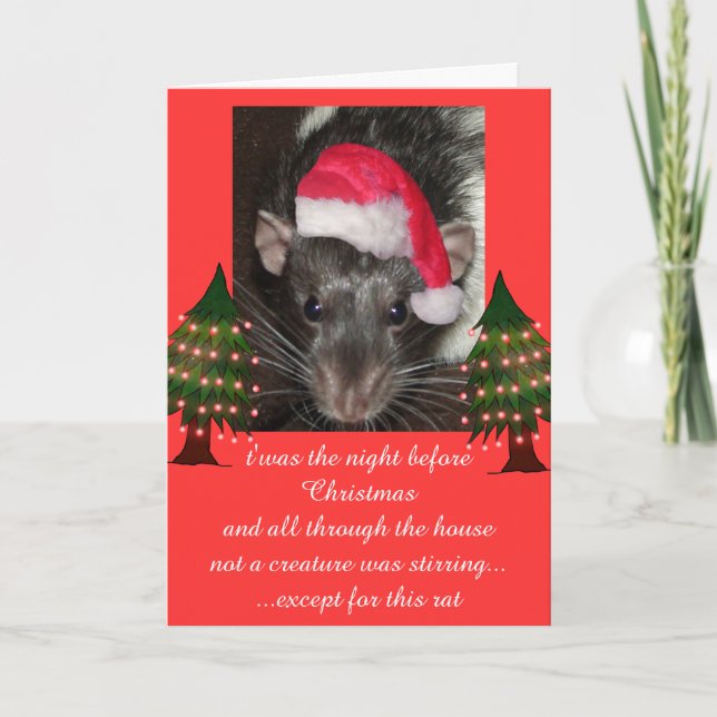 Christmas rats holiday card (Front)