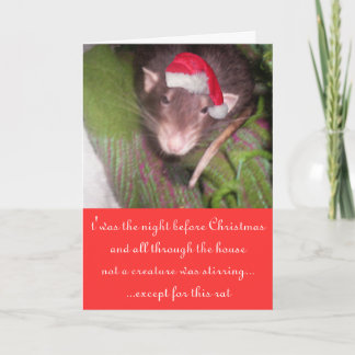 Christmas rats holiday card