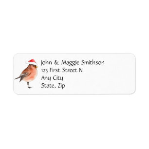 Christmas Red Bird Animal Fun Holiday Art