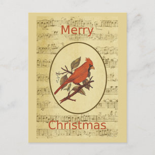 Christmas Red Bird Cardinal Music Holiday Postcard