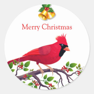 Christmas Red Cardinal Bird  Classic Round Sticker