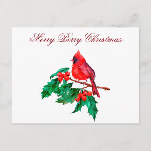 Christmas Red Cardinal Bird on Holly Berry Branch  Postcard