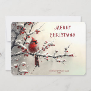 Christmas Red Cardinal Holiday Card