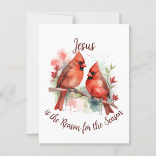 Christmas Red Cardinal Jesus Reason for Season Postcard