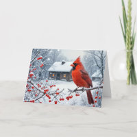 Christmas Red Cardinal On Berry Branch