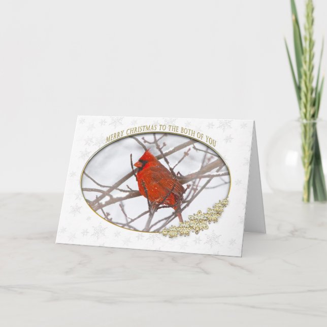 CHRISTMAS - RED CARDINAL/SNOW - to the Both of You Holiday Card (Front)