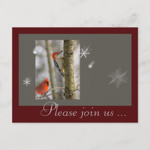 Christmas Red Grey Birds Cardinal Wood Pecker Holiday Postcard