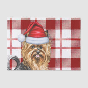 Christmas Red Plaid and Biewer Terrier Dog Tissue Paper