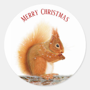 Christmas Red Squirrel Classic Round Sticker