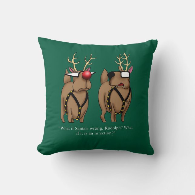 Christmas Reindeer  Humour Cushion (Front)