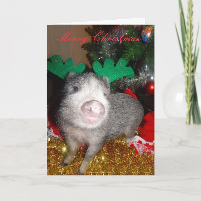 Christmas Reindeer Pig, Greeting Card (Front)
