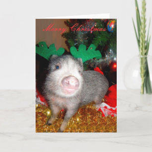 Christmas Reindeer Pig, Greeting Card