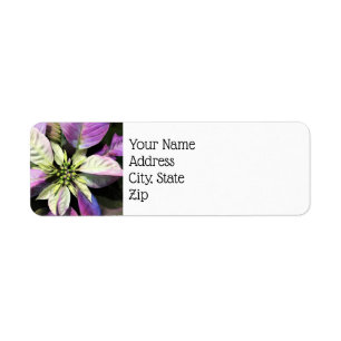 Christmas Return Address Labels- Lav Poinsettias