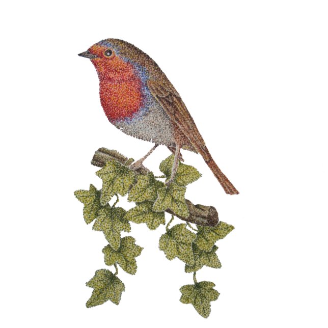 Christmas robin and ivy leaves illustration tie (Creator Uploaded)