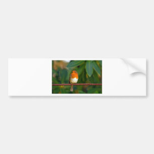 Christmas Robin Bumper Sticker