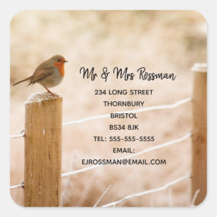 Christmas robin Change of address sticker